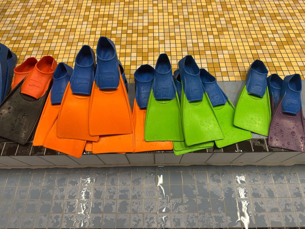 Freie Plätze ab Januar 2026